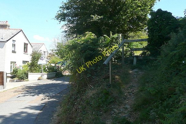 Photo 6"x4" Footpath towards St. Martin's Down Whiteley Bank c2010