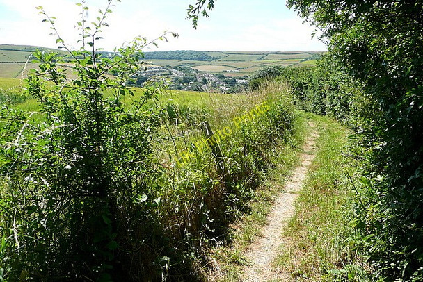 Photo 6"x4" Footpath towards Wroxall Whiteley Bank c2010
