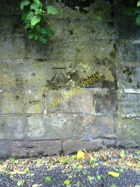 Photo 6"x4" Benchmark on wall on Hucknall Road Nottingham\/SK5641 c2010
