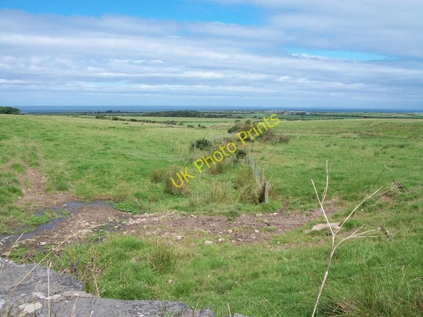 Photo 6"x4" Stream west of Caerau Farm Dinas\/SH2636 c2010