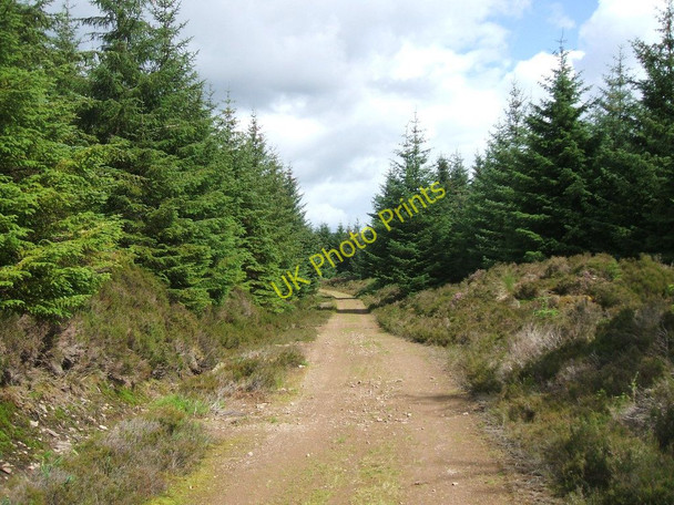 Photo 6"x4" Dungavel Hill track Powbrone Burn c2010