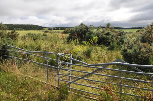 Photo 6"x4" Overgrown field entrance near Culbo Kinbeachie c2010