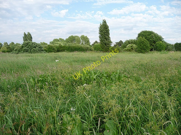 Photo 6"x4" South Norwood Country Park (3) Beckenham c2010