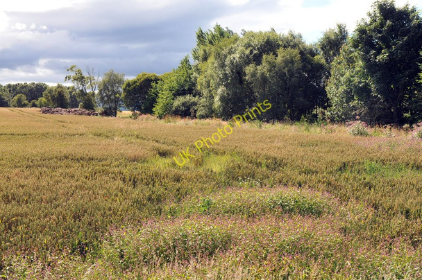 Photo 6"x4" Field near Alnessferry Farm Alnessferry c2010