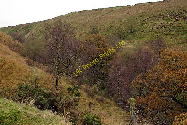 Photo 6"x4" Mean Brook valley Pickup Bank c2007