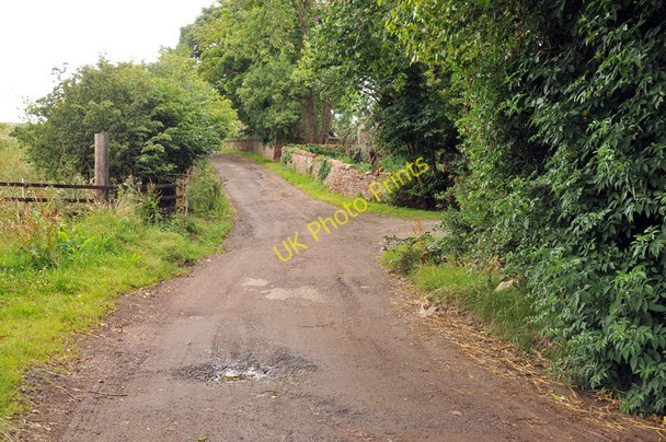 Photo 6"x4" Road to Farness Farm Jemimaville c2010