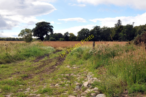Photo 6"x4" Farmland at Newhall House Balblair\/NH7066 c2010 P1