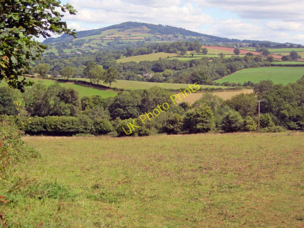 Photo 6"x4" Farmland north of Caggle Street Caggle Street c2010