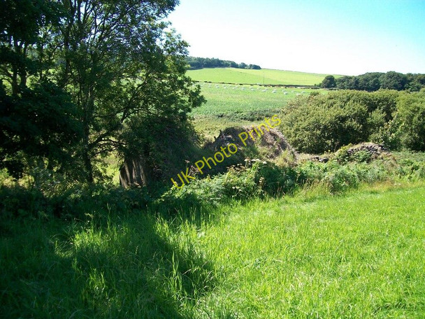 Photo 6"x4" The ruins of Caerdydd Penllech\/SH2234 c2010