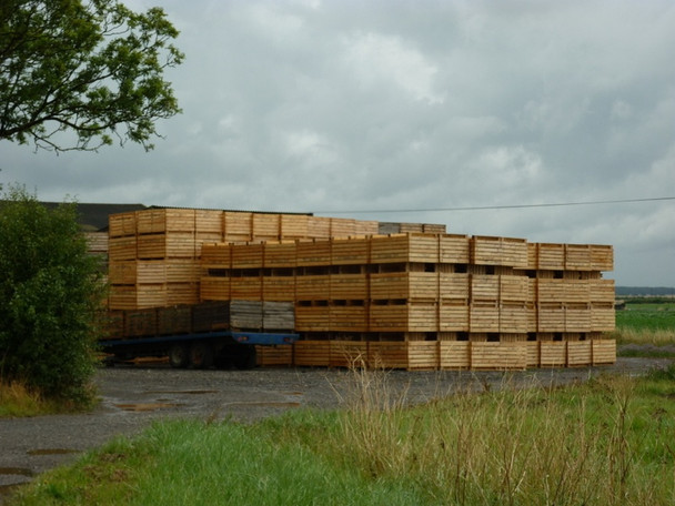 Photo 6"x4" Getting ready for the potato harvest Winterton\/SE9218 c2010