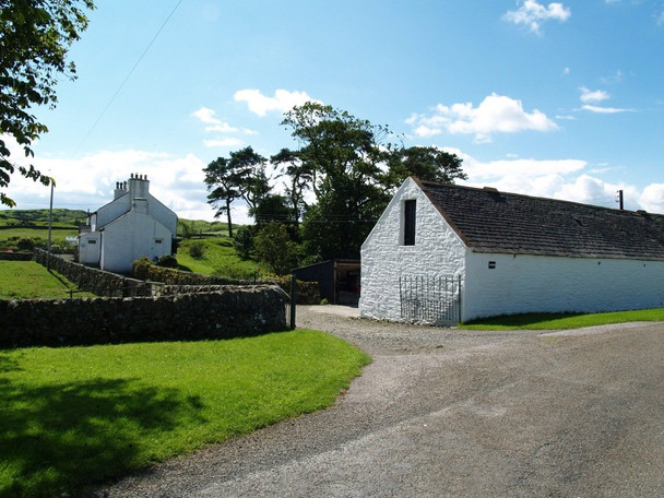 Photo 6"x4" Thorn, Parish of Rerrick Dundrennan c2010