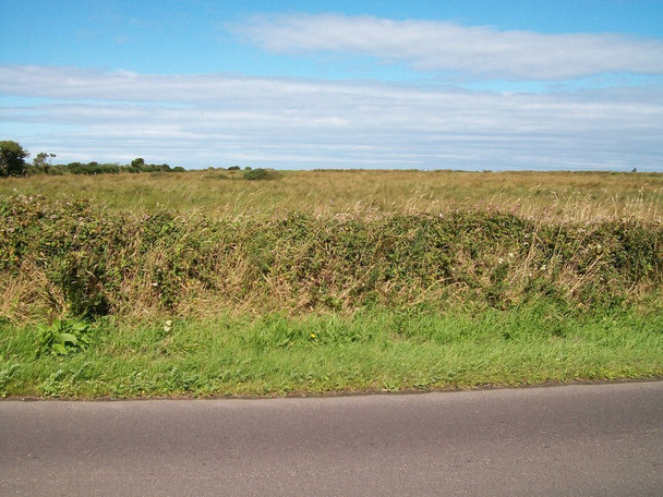 Photo 6"x4" Wetland south of Hirdre Isaf Farm Dinas\/SH2636 c2010