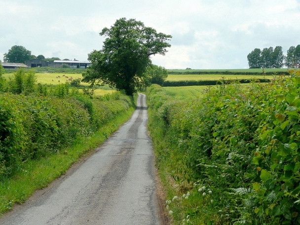 Photo 6"x4" Narrow lane past The Coppice Garway c2010