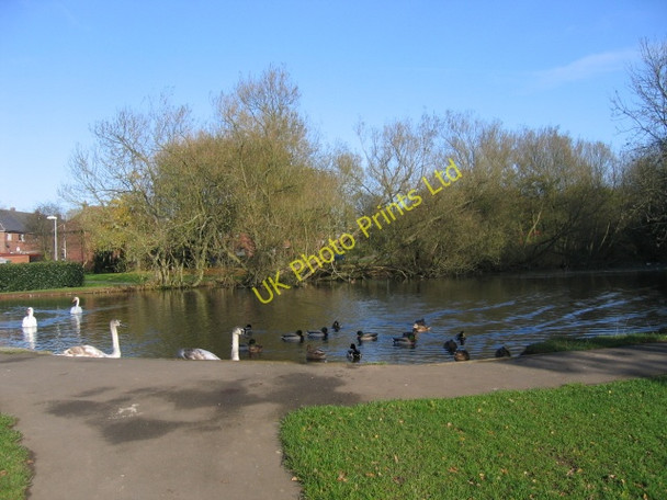 Photo 6"x4" The Old Mill Pond Blurton c2007