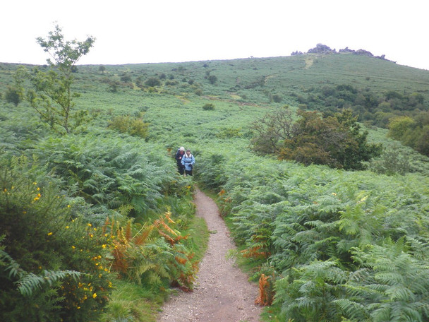 Photo 6"x4" Path to Hound Tor Bonehill\/SX7277 c2010