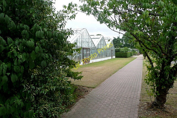 Photo 6"x4" Glasshouses at Brinsbury North Heath\/TQ0621 c2010