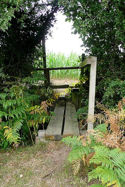 Photo 6"x4" Footpath over the brook North Heath\/TQ0621 c2010