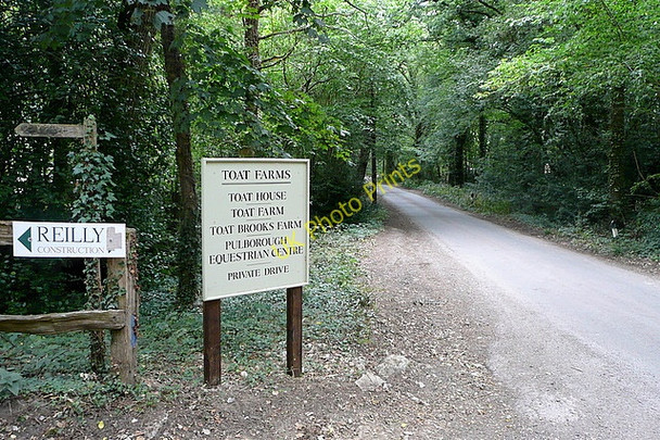 Photo 6"x4" Entrance to Toat Farms Codmore Hill c2010