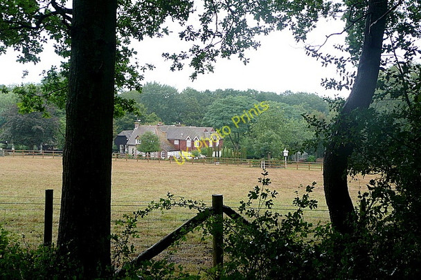 Photo 6"x4" Towards Horse Bridge Bedham c2010