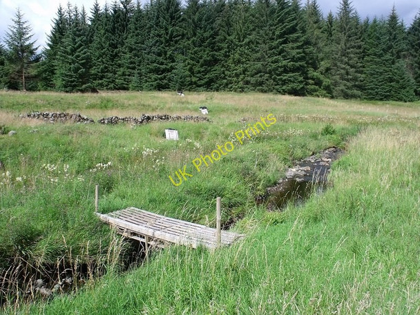Photo 6"x4" Firing range, Carron Valley Forest Carron Valley Forest c2010
