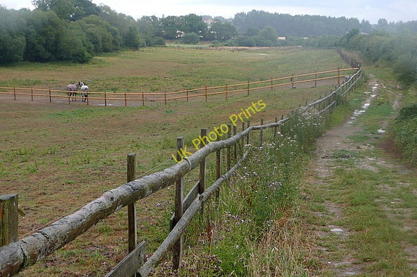 Photo 6"x4" Wey South Path Codmore Hill c2010