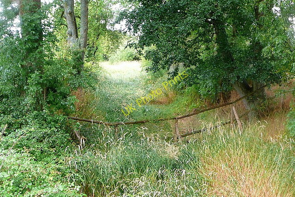 Photo 6"x4" Wey and Arun Canal Strood Green\/TQ0224 c2010 P1