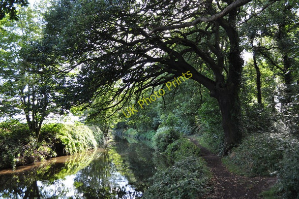 Photo 6"x4" The Chesterfield Canal Ranby\/SK6580 c2010