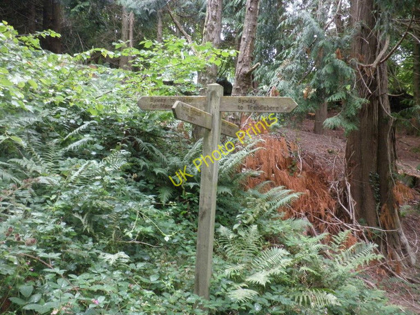 Photo 6"x4" Signpost at path intersection, Houndtor Wood Lustleigh Cleave c2010