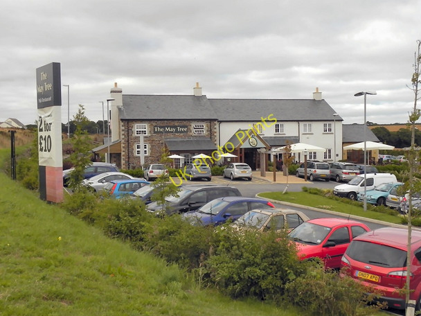Photo 6"x4" The May Tree, Helston Helston c2010