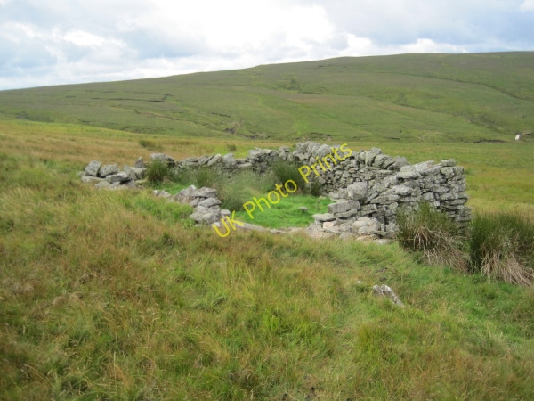 Photo 6"x4" Sheepfold on Wellhope Moor Carrsheild c2010