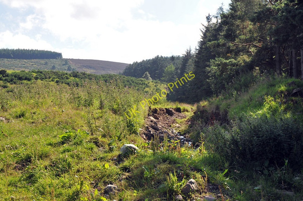 Photo 6"x4" Stream arising from a spring at the forest edge Cantraywood c2010