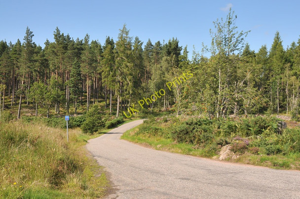 Photo 6"x4" Road near Drummournie Cawdor c2010