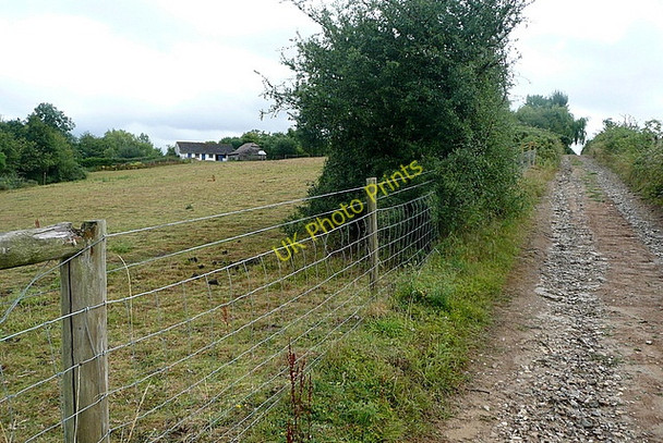 Photo 6"x4" Bridleway to Lee Place Adversane c2010