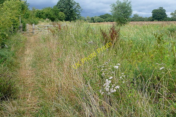 Photo 6"x4" Along the Wey and Arun Canal Adversane c2010