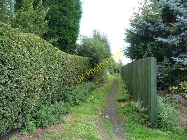 Photo 6"x4" Footpath off Bottom Boat Lane Bottom Boat c2010