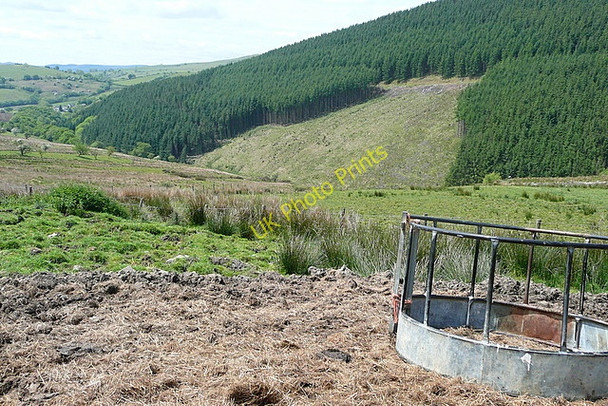 Photo 6"x4" Above Afon Lwynor Rhandirmwyn c2010