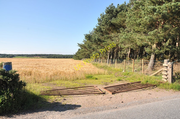 Photo 6"x4" Field edge near Balnaspirach Nairn c2010