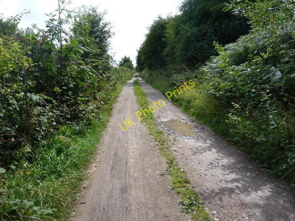 Photo 6"x4" Track alongside railway Methley Junction c2010