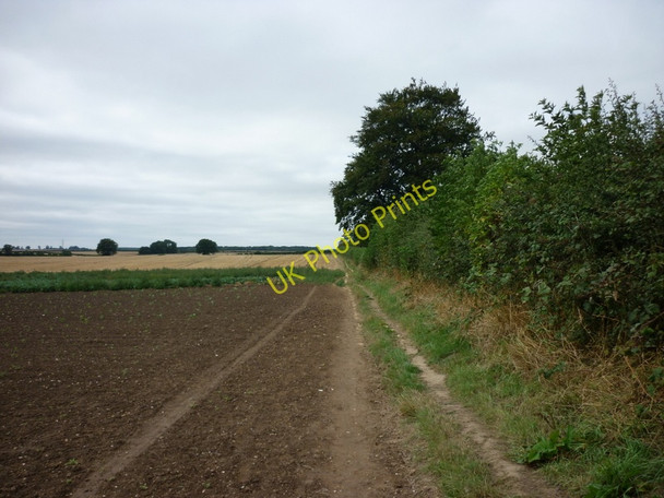 Photo 6"x4" A walk to Cottingham #53 Skidby c2010