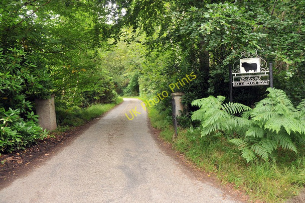 Photo 6"x4" Private road to Balavil Farm Bishop Kinkell c2010