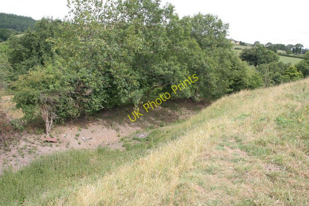 Photo 6"x4" Hedge round the moat New Radnor c2010