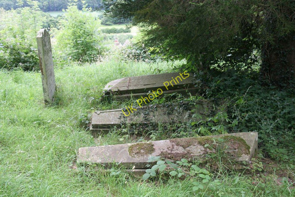 Photo 6"x4" Three under a yew tree New Radnor c2010