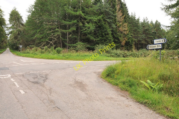 Photo 6"x4" Crossroads in Bellton Wood Munlochy c2010