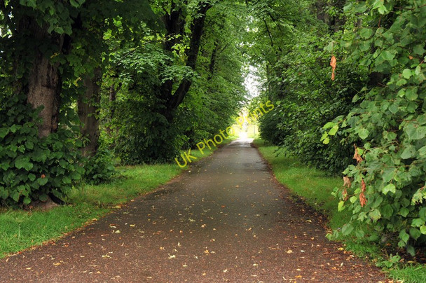 Photo 6"x4" Lane to a derelict hotel near Smithton Culloden c2010