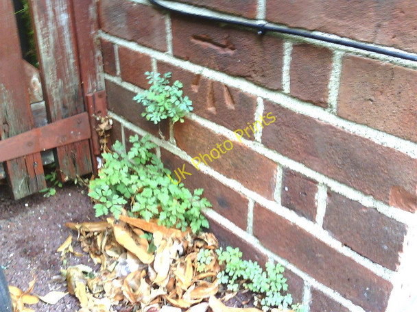 Photo 6"x4" Benchmark on #4 Squitchey Lane Sunnymead\/SP5009 c2010