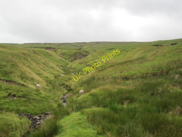 Photo 6"x4" Whetstonemea Burn near Mutton Hall Coalcleugh\/NY8045 c2010