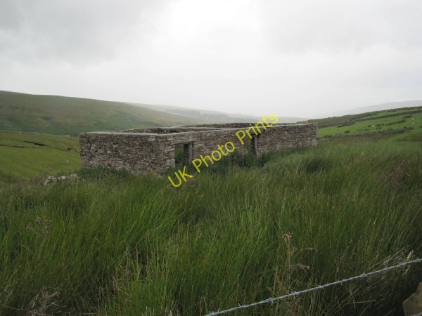 Photo 6"x4" Whetstonemea near Coalcleugh Coalcleugh\/NY8045 c2010