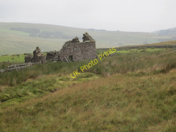 Photo 6"x4" Rushymea near Coalcleugh Coalcleugh\/NY8045 c2010