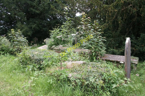 Photo 6"x4" Lost in weeds New Radnor c2010