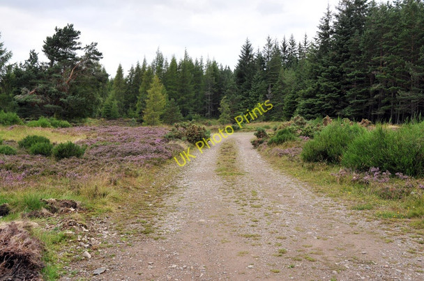 Photo 6"x4" Parking area near the Great Glen Way Blackfold\/NH5840 c2010